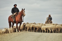We really enjoyed the few shepherds we met along the way.